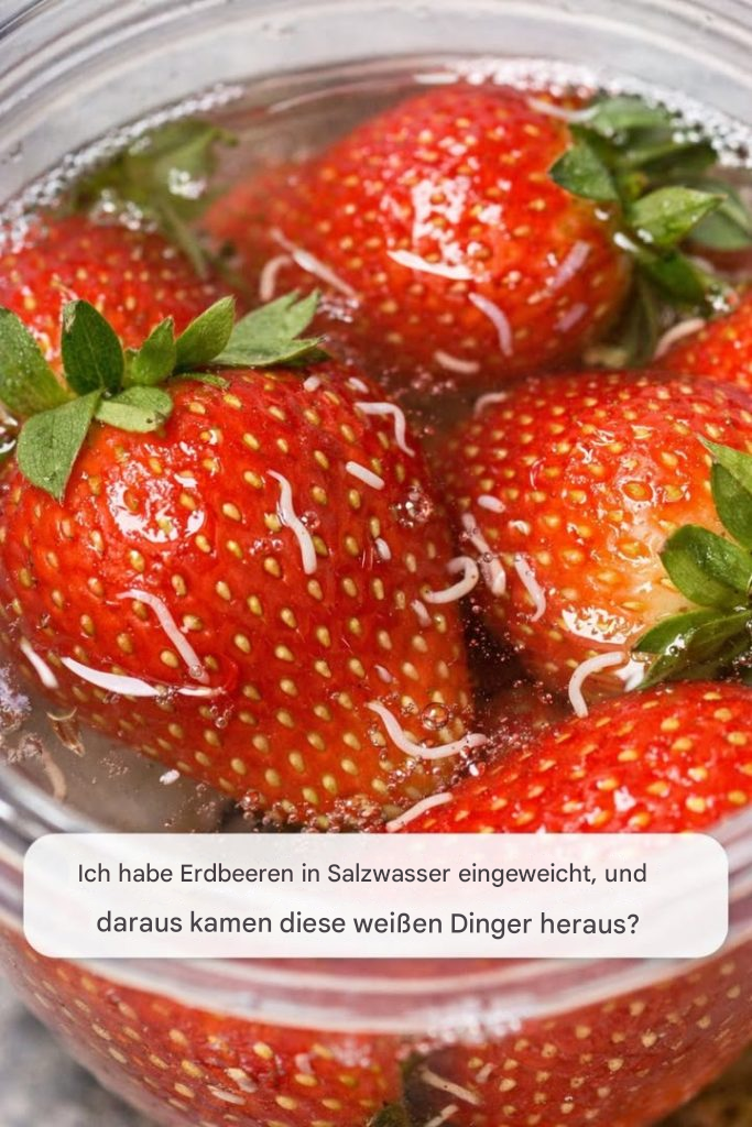 Ich habe Erdbeeren in Salzwasser eingeweicht, und daraus kamen diese weißen Dinger heraus?