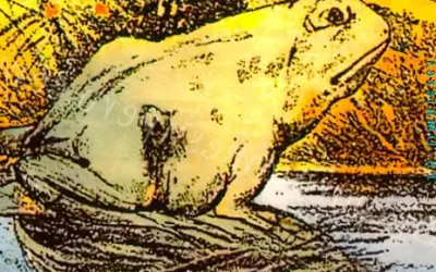 Quiz: Was haben Sie zuerst gesehen: einen Frosch oder ein Pferd? Ihre Antwort sagt viel über Sie aus.