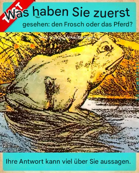 Quiz: Was haben Sie zuerst gesehen: einen Frosch oder ein Pferd? Ihre Antwort sagt viel über Sie aus.