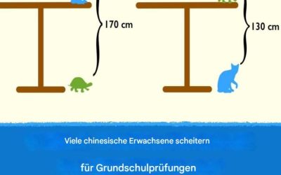 Bilderrätsel bereitet chinesischen Grundschülern Kopfschmerzen