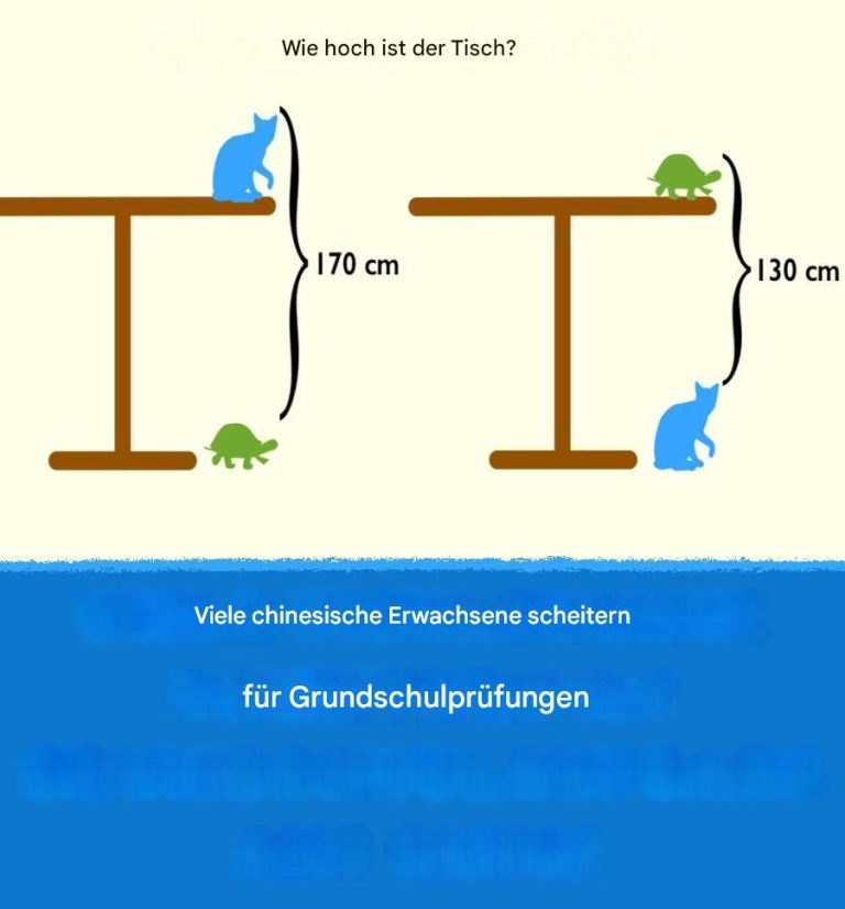 Bilderrätsel bereitet chinesischen Grundschülern Kopfschmerzen