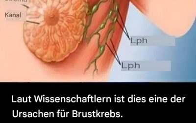 90 % der Borstkankers, die Sie erhalten, werden Ihnen spätestens 9 Tage später zugeschickt.