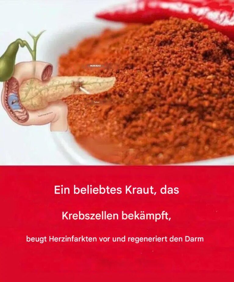 Ein beliebtes Kraut, das Krebszellen bekämpft, Herzinfarkten vorbeugt und den Darm repariert