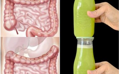 Darm und Leber sind wie neu! Nur 3 Tage – mit grünem Saft kommt der ganze Dreck raus
