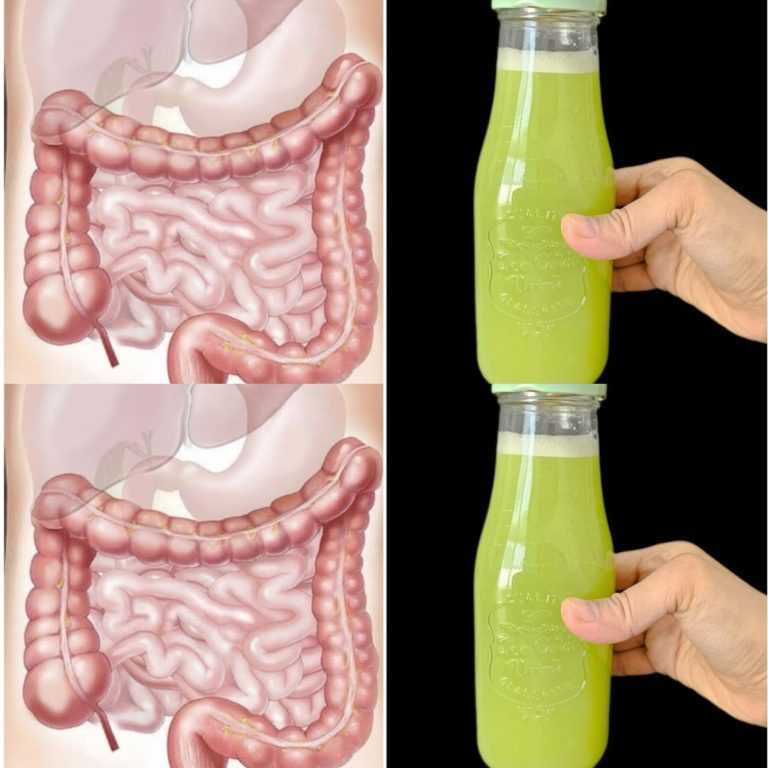 Darm und Leber sind wie neu! Nur 3 Tage – mit grünem Saft kommt der ganze Dreck raus
