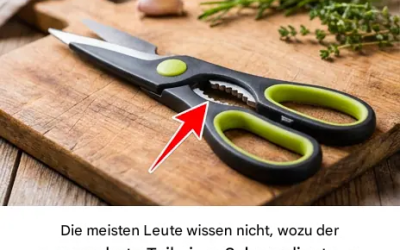 Welchen Zweck hat die gezahnte Schneide einer Schere? Haben Sie sich das jemals gefragt? Die Antwort ist nicht immer offensichtlich.