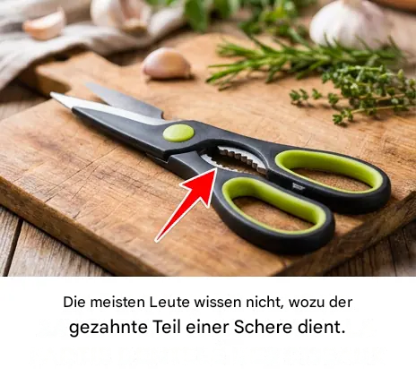 Welchen Zweck hat die gezahnte Schneide einer Schere? Haben Sie sich das jemals gefragt? Die Antwort ist nicht immer offensichtlich.