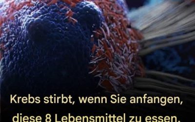 8 wirksame Anti-Krebs-Lebensmittel, die Sie in Ihre Ernährung aufnehmen sollten