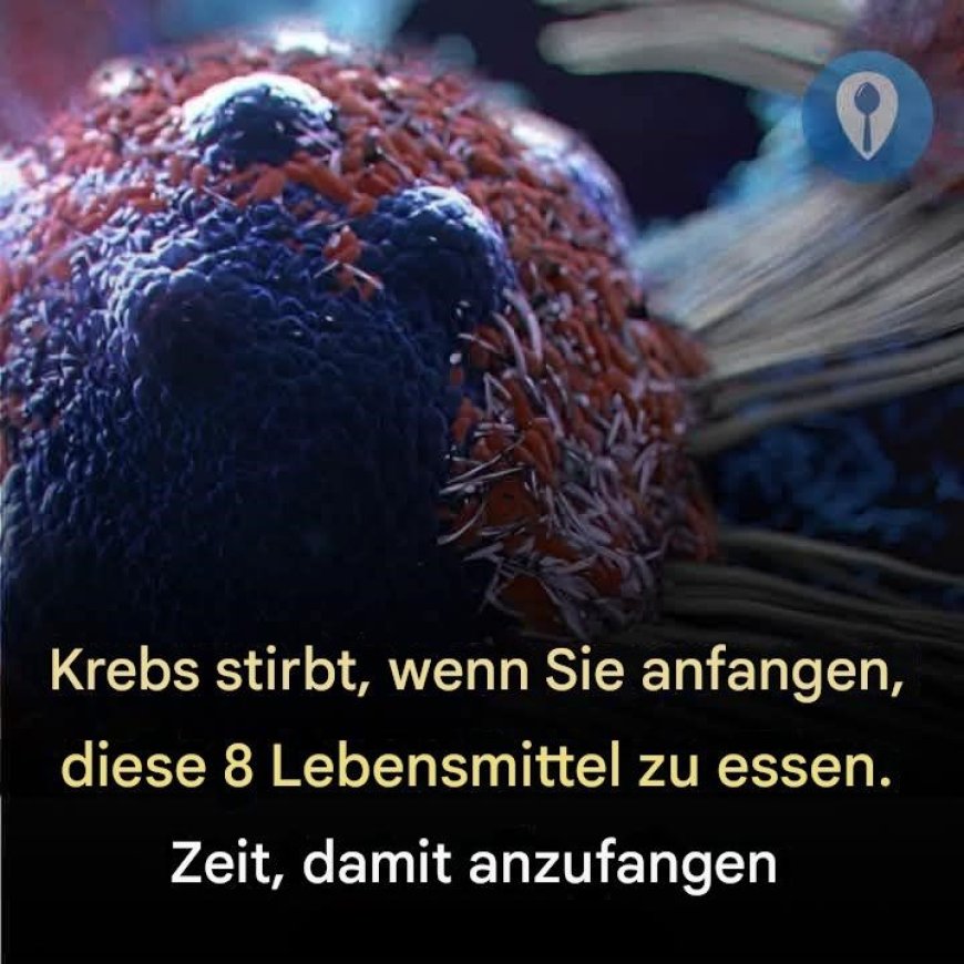 8 wirksame Anti-Krebs-Lebensmittel, die Sie in Ihre Ernährung aufnehmen sollten
