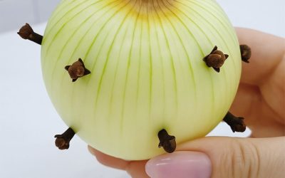 Meine Großmutter steckte immer Nelken in Zwiebeln. Und zwar aus folgendem Grund.