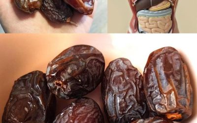 Die unglaublichen Vorteile von Datteln: Ein nährstoffreiches Superfood