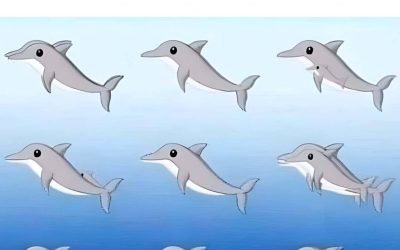 Was denkst du über das Bild?