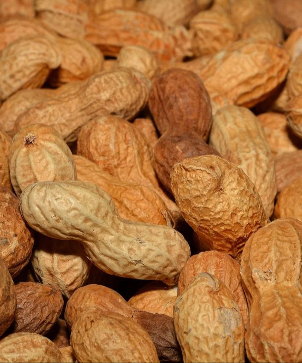 Wie Erdnüsse wertvolle Nährstoffe in die Ernährung älterer Erwachsener einbringen können