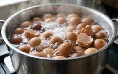 Warum muss man Eierschalen kochen?  Von der Redaktion Veröffentlicht am 29. April 2026