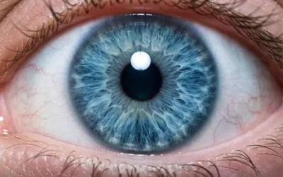 Alle Menschen mit blauen Augen haben dies gemeinsam.