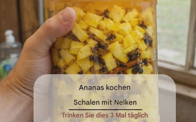 Haben Sie schon einmal Ananasschalen mit Nelken gekocht – ein einfaches Getränk für jeden Tag?