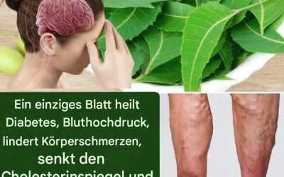 Entdecken Sie die Kraft des Blattes, die Ihre Gesundheit verändern wird!