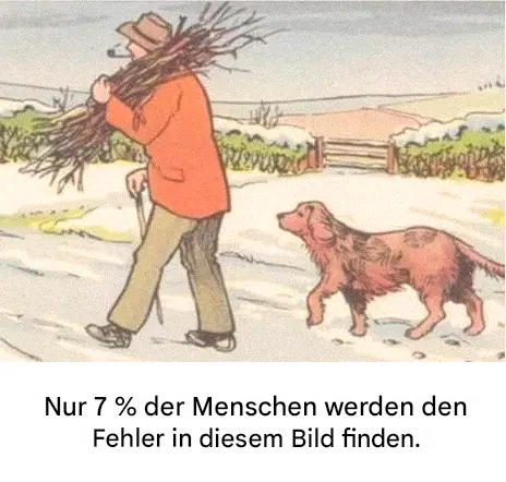 Können Sie den Fehler in dieser verschneiten Szene entdecken?
