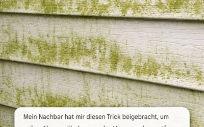 Mein Nachbar hat mir diesen Trick gezeigt, mit dem man ganz mühelos grüne Algen von der Hausfassade entfernen kann. So funktioniert’s