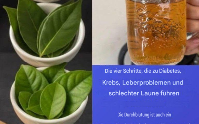 Die 4 am häufigsten verwendeten traditionellen Blätter in natürlichen Tees für das allgemeine Wohlbefinden