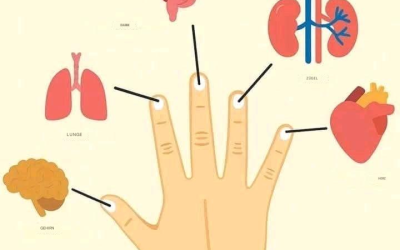 Jeder Finger ist mit zwei Organen verbunden: eine unglaubliche japanische Therapiemethode