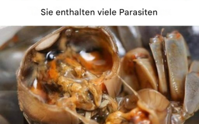 „Ärzte warnen: Verzehr dieser 4 Lebensmittel ab sofort einschränken, sie enthalten viele Parasiten“ – diese Meldung verbreitet sich online.