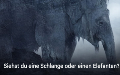 Was haben Sie auf den ersten Blick gesehen? 97 % der Menschen haben schon einmal eine Schlange gesehen! Finden Sie heraus, ob Ihr Lebensabend bitter oder süß wird!
