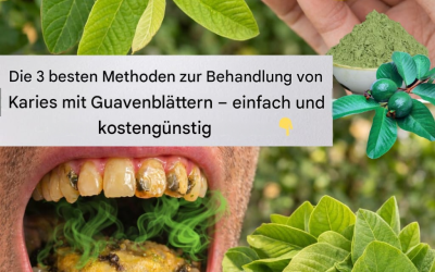 Die 3 besten Methoden zur Behandlung von Karies mit Guavenblättern – einfach und kostengünstig!