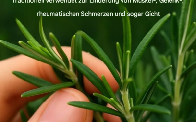 So gelingt der üppige Anbau dieser Pflanze zu Hause.