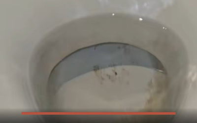 Mit diesem Produkt von Action gehören unschöne Flecken in Ihrer Toilettenschüssel der Vergangenheit an.