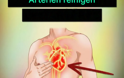 6 Vitamine zur Reinigung Ihrer Arterien