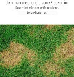 Wie konnte ich das nur nicht wissen? Wieder etwas Neues gelernt!