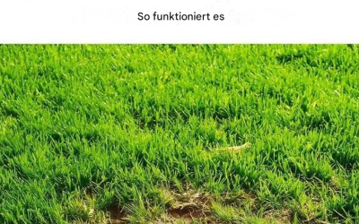 Nein, wirklich nicht… Ich hatte nicht die geringste Ahnung!