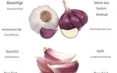Essen Sie Knoblauch auf nüchternen Magen: Ein wirksames natürliches Heilmittel für Ihre Gesundheit