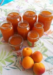 Goldener Sommer in der Flasche: Omas legendäre, seidige Aprikosenmarmelade