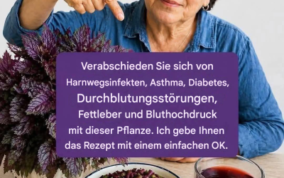 Die Pharmakologie von Kräutern mit violetten Blättern: Faktencheck zu viralen „Allheilmitteln“ aus Pflanzen