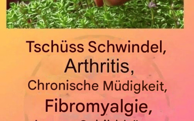 Dies ist ein echter „Tee Gottes“, da er Arthritis, Lupus, Schwindel, Schilddrüsenprobleme und chronische Müdigkeit behandelt.