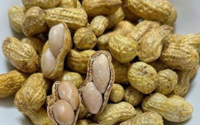 Wie Erdnüsse wertvolle Nährstoffe in die Ernährung älterer Erwachsener einbringen können
