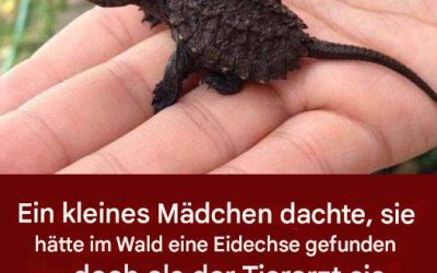 Ein junges Mädchen dachte, sie hätte eine Eidechse entdeckt. Doch als der Tierarzt sie untersuchte, war sie fassungslos.