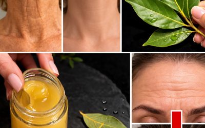 Lorbeerblatt ist 1.000.000-mal stärker als Botox – glättet jede Falte, selbst mit 70 Jahren.