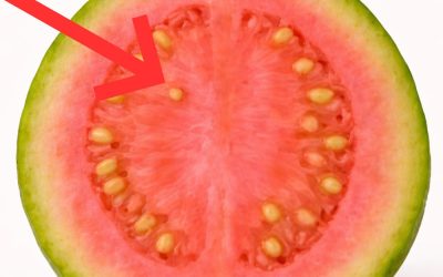 Ärzte enthüllen, dass Guavenblättertee … verursacht.