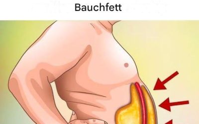 6 Lebensmittel, die Bauchfett (viszerales Fett) verursachen und die Sie vermeiden solltenVegetarische RestaurantsBell Fat Burner