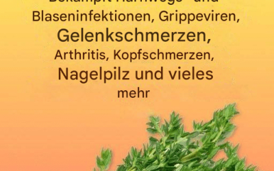 Ein natürliches Heilmittel gegen Parasiten und Harnwegsinfektionen