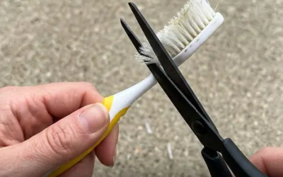 Sie werden Ihre alte Zahnbürste nie wieder wegwerfen, sobald Sie dieses erstaunliche Hausmittel entdeckt haben.