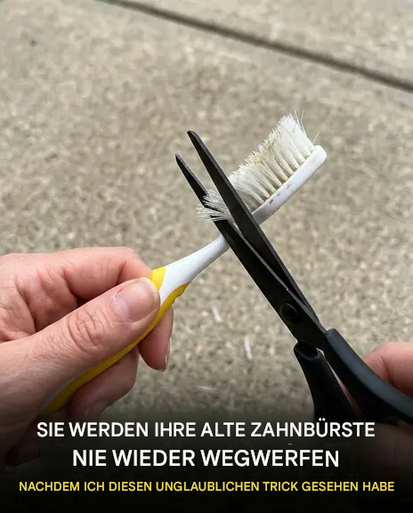 Sie werden Ihre alte Zahnbürste nie wieder wegwerfen, sobald Sie dieses erstaunliche Hausmittel entdeckt haben.