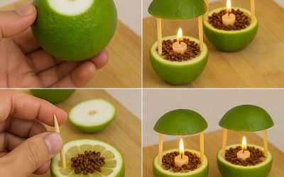 Refresh Regularly: Replace the lemons every few days to maintain the scent and effectiveness. Experiment with Scents: Add a few drops of essential oils like lavender or eucalyptus for an extra layer of fragrance and repellent power. Get Creative: Use colorful candles or decorative bamboo sticks to match your home’s aesthetic. Make It a Ritual: Light your lanterns each evening to create a calming routine that signals the start of your relaxation time. These small tweaks can personalize the experience, making it even more enjoyable and tailored to your lifestyle.  🌺 Why You’ll Never Go Back to Store-Bought Repellents Once you try this lemon-clove remedy, you’ll wonder why you ever relied on chemical sprays or electric zappers. Store-bought repellents often leave behind unpleasant odors, require constant reapplication, or come with health concerns. This natural solution, on the other hand, is a breath of fresh air—literally.   It’s not just about keeping mosquitoes away; it’s about creating a home that feels alive, vibrant, and inviting. The soft glow of the candles, the refreshing scent, and the knowledge that you’re using nature’s finest ingredients will make this remedy a staple in your household.  🦟 Say Goodbye to Mosquitoes for Good Mosquitoes may be persistent, but they’ve met their match with this lemon-clove lantern. By harnessing the power of natural ingredients, you’re taking control of your home’s environment in a way that’s safe, effective, and downright delightful. No more swatting, no more itching—just pure, fragrant bliss.  So, what are you waiting for? Grab those lemons, cloves, and candles, and start crafting your mosquito-repelling masterpiece today. Your home deserves to be a sanctuary, and with this remedy, it will be. Let the scent of citrus and spice fill your space, and watch as mosquitoes disappear for good.  This isn’t just a remedy—it’s a lifestyle upgrade. Embrace it, and enjoy a home that’s as beautiful as it is bug-free.