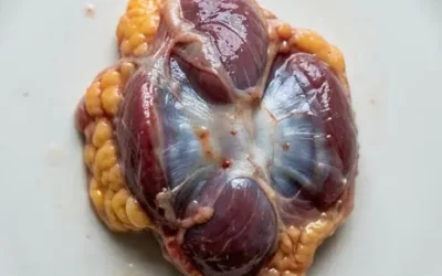 Wussten Sie, dass Sie dieses Medikament nicht einnehmen müssen, wenn Sie Hühnermägen essen?