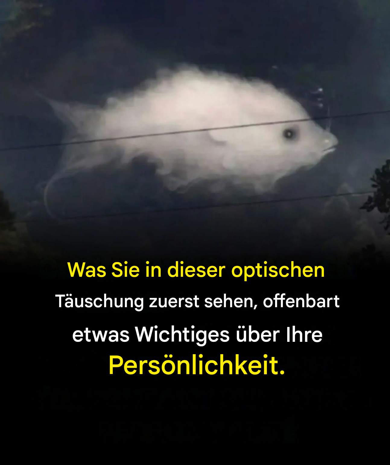 Visueller Test: Was Ihnen zuerst auffällt, sagt viel über Ihre Persönlichkeit aus.