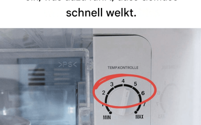 95 % der Menschen stellen die Temperatur ihres Kühlschranks falsch ein, was dazu führt, dass Gemüse schnell welkt.