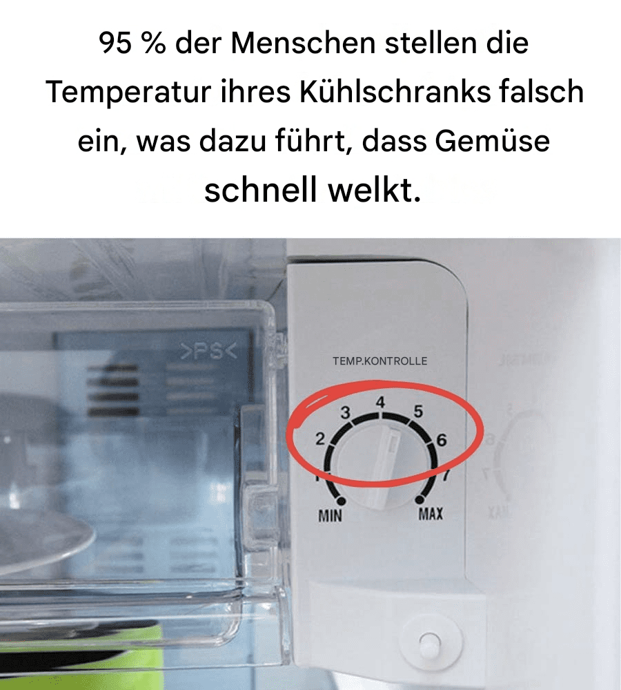 95 % der Menschen stellen die Temperatur ihres Kühlschranks falsch ein, was dazu führt, dass Gemüse schnell welkt.